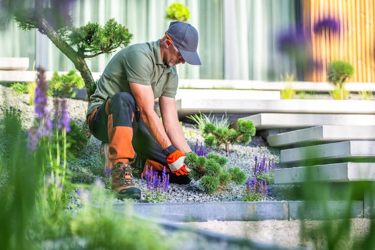 landscaping services near me
