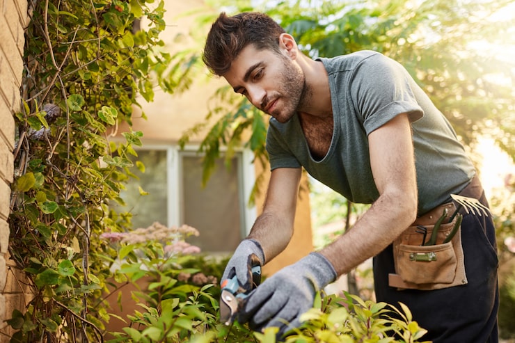 Transform Your Outdoors with the Best Landscaping Services Near Me