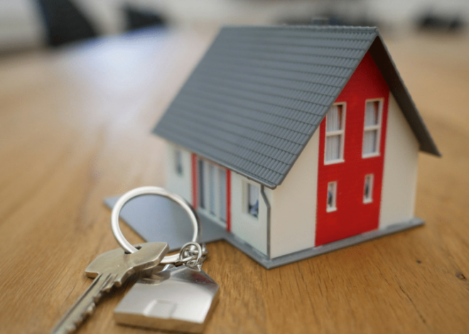 When to Hire a Business Accountant And Why Insogna CPA Is the Right Choice